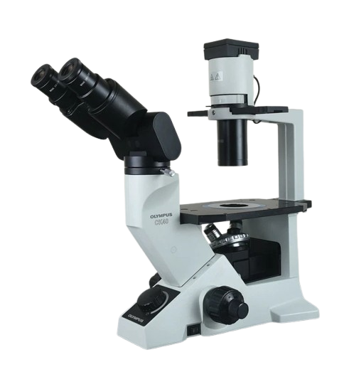 Microscope inversé - Olympus CK40-F200 