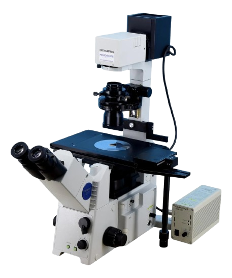 Olympus IX71 Microscope