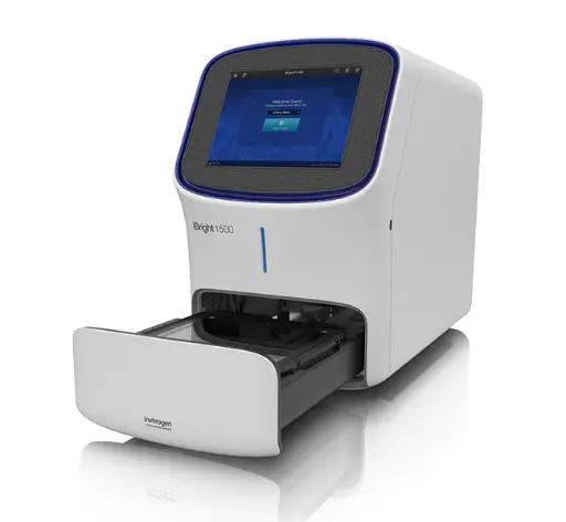 iBright 1500